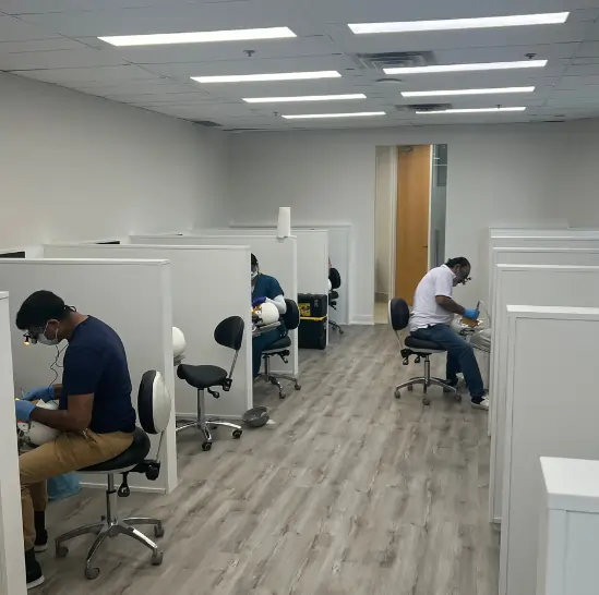 Future Dental Career